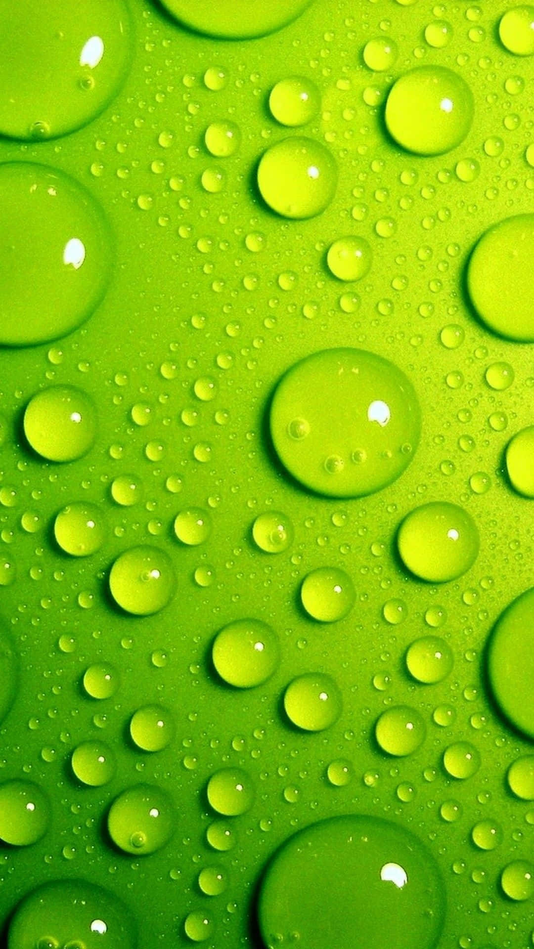 A Vibrant Splash Of Lime