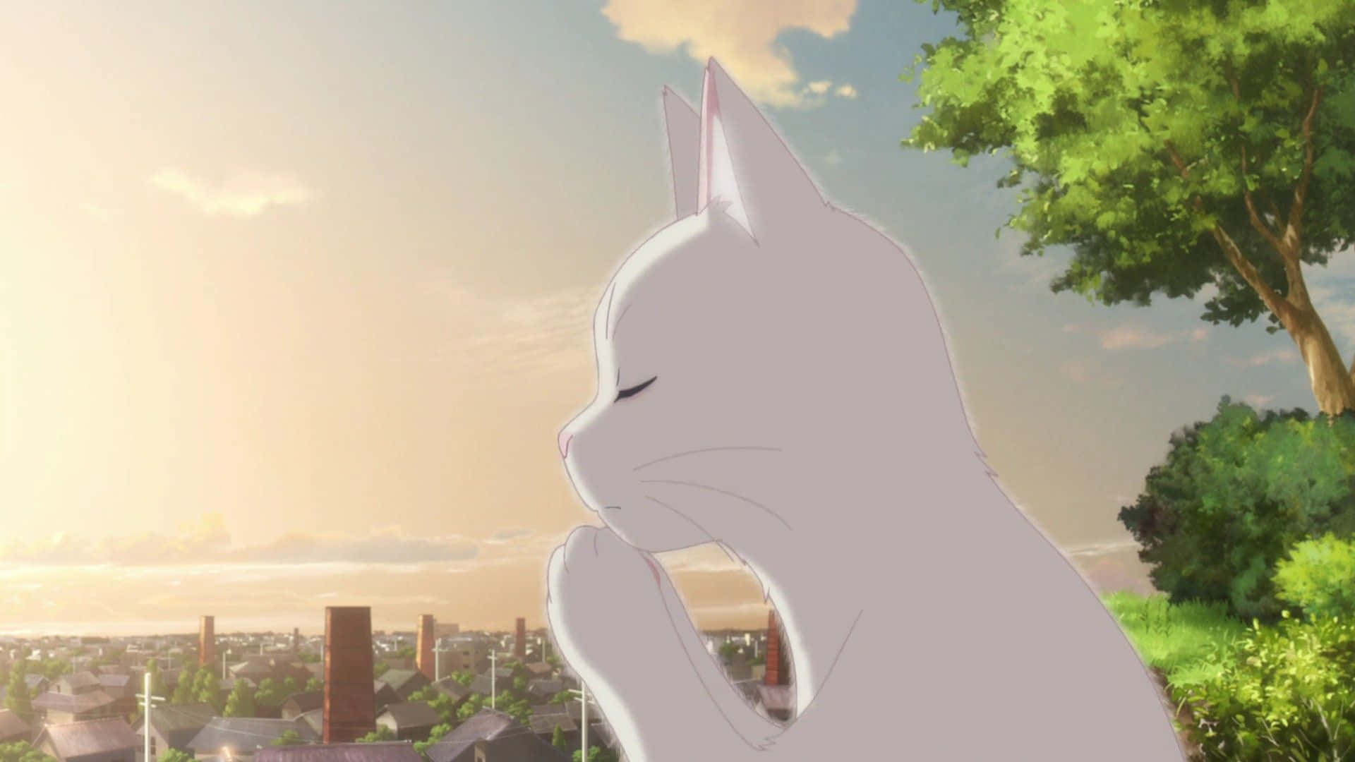 Begibdich Auf Eine Reise Mit Miyo Und Ihrem Treuen Begleiter, Dem Fuchs Daru, In Dem Bezaubernden Animierten Film 