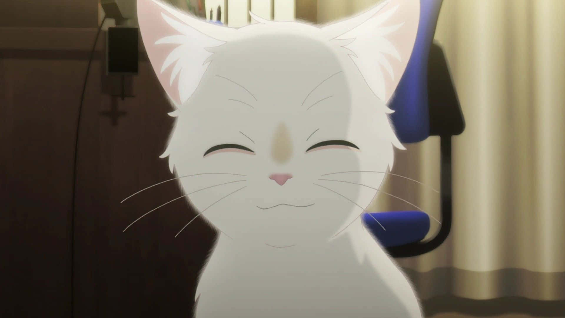 Take a Whisker Away, an anime movie made for all ages.