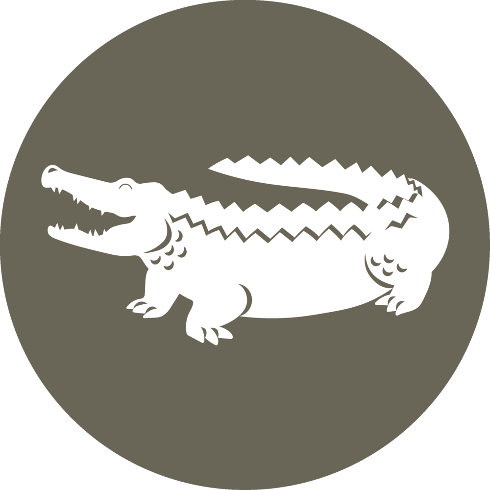 A White Alligator In A Circle PNG