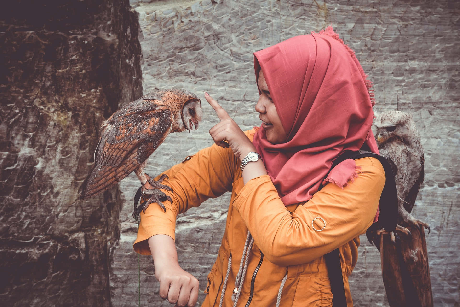 A Woman Wearing A Hijab Touching A Tangible Owl On Her Arm Wallpaper