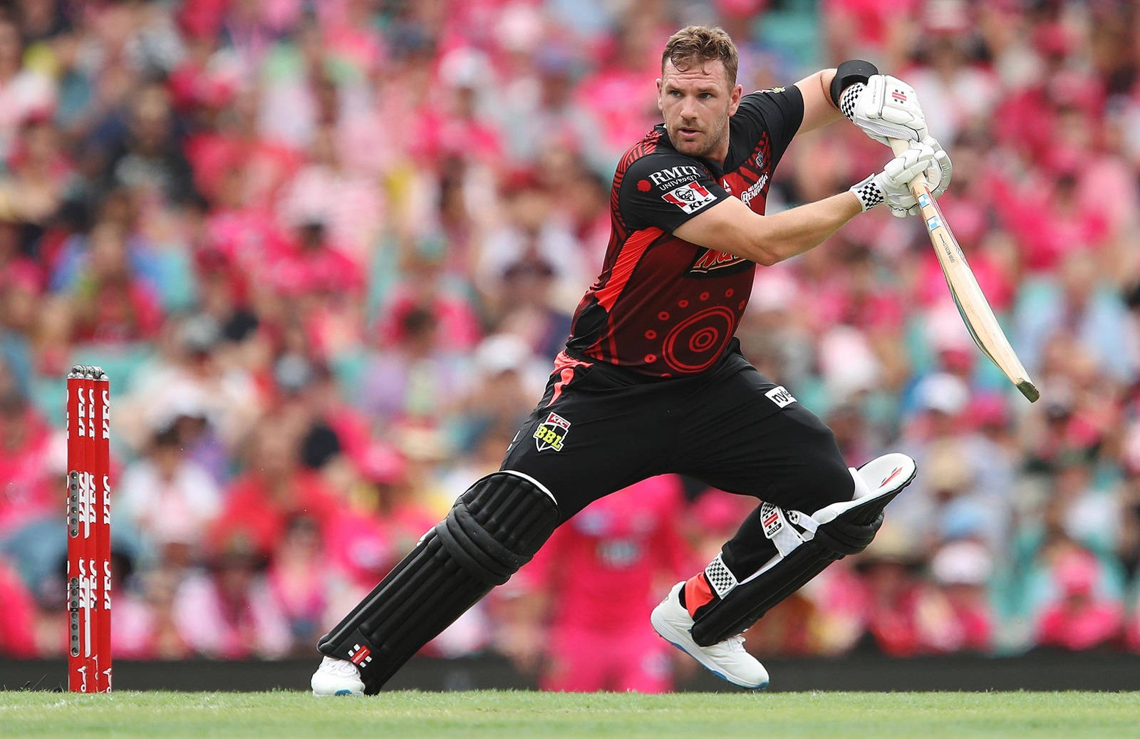 Aaron Finch Black And Red Uniform Wallpaper