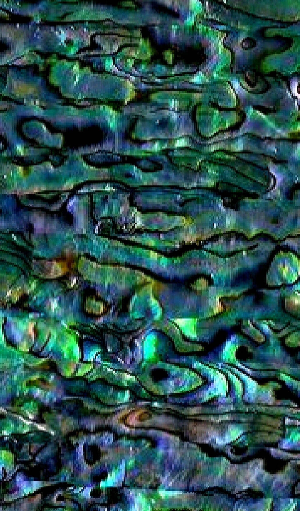 Abalone Colorful Shell Textures Wallpaper
