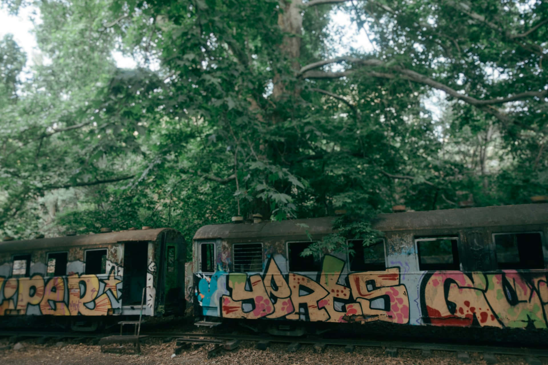 Wagons De Train Abandonnés Avec Graffiti Fond d'écran