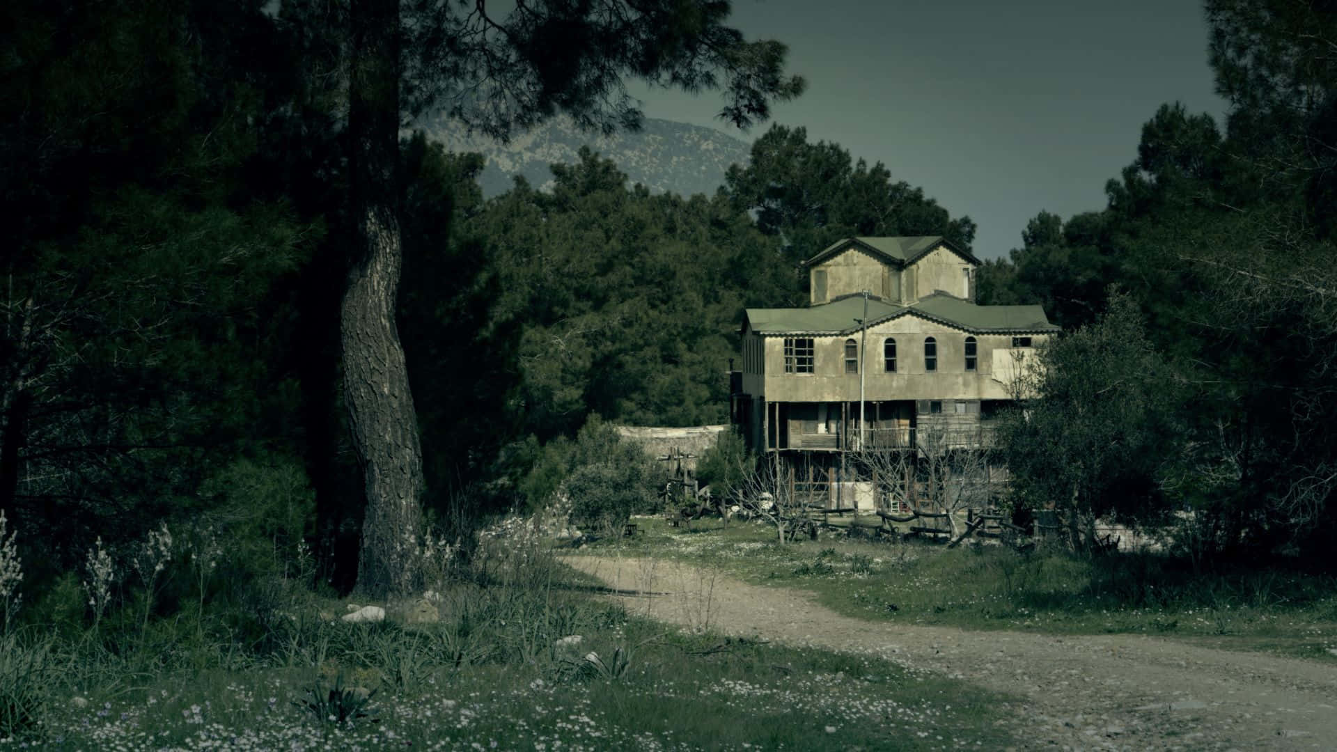 Abandoned_ House_in_ Woods.jpg Wallpaper