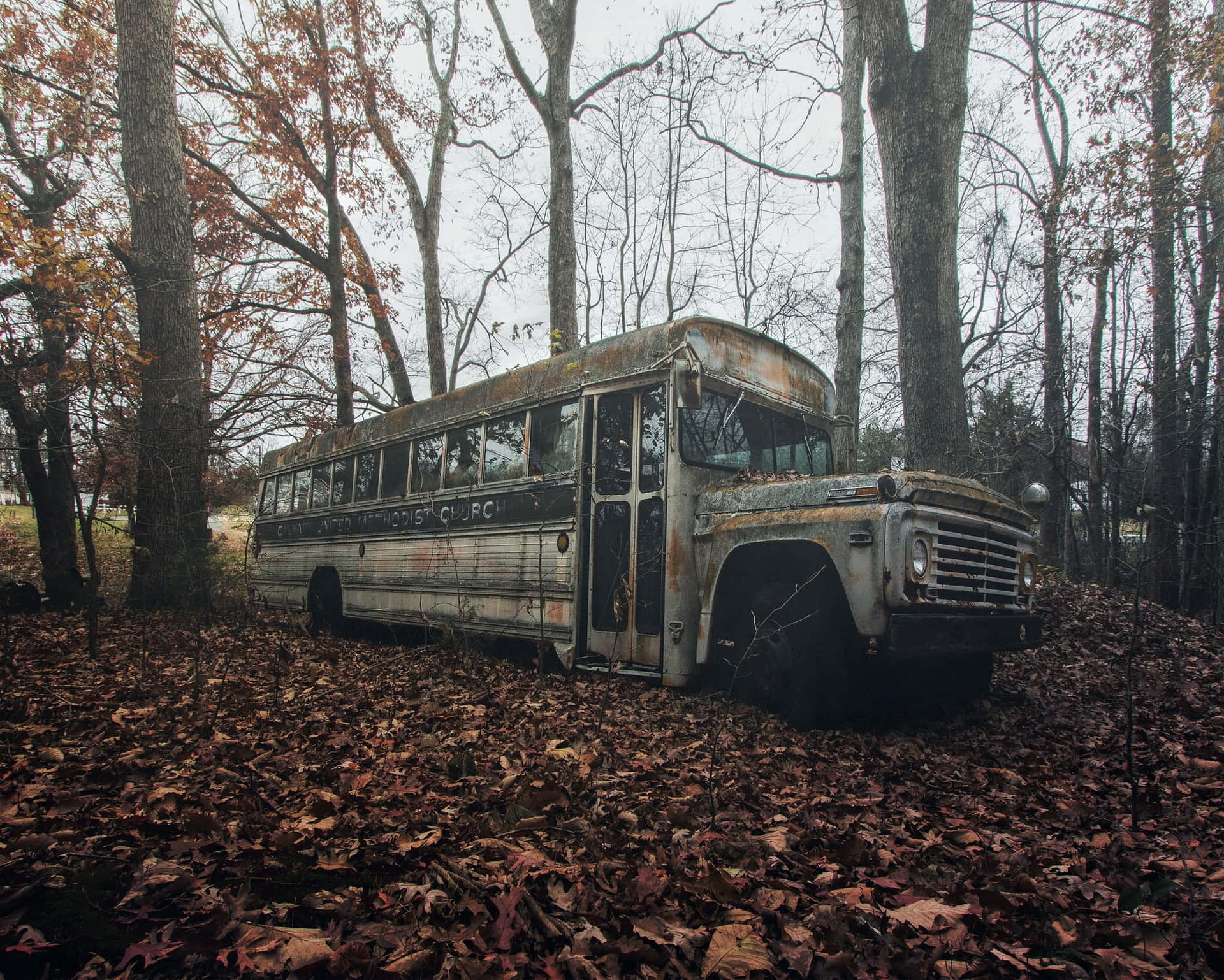 Abandoned Old School Bus In Woods Wallpaper