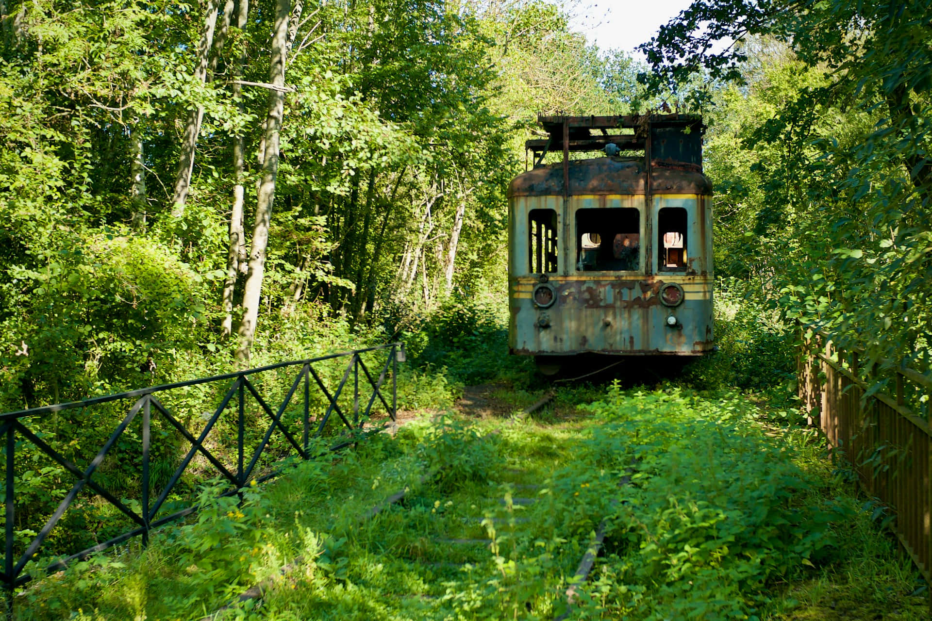 Wagon De Train Abandonné Dans Les Bois Fond d'écran