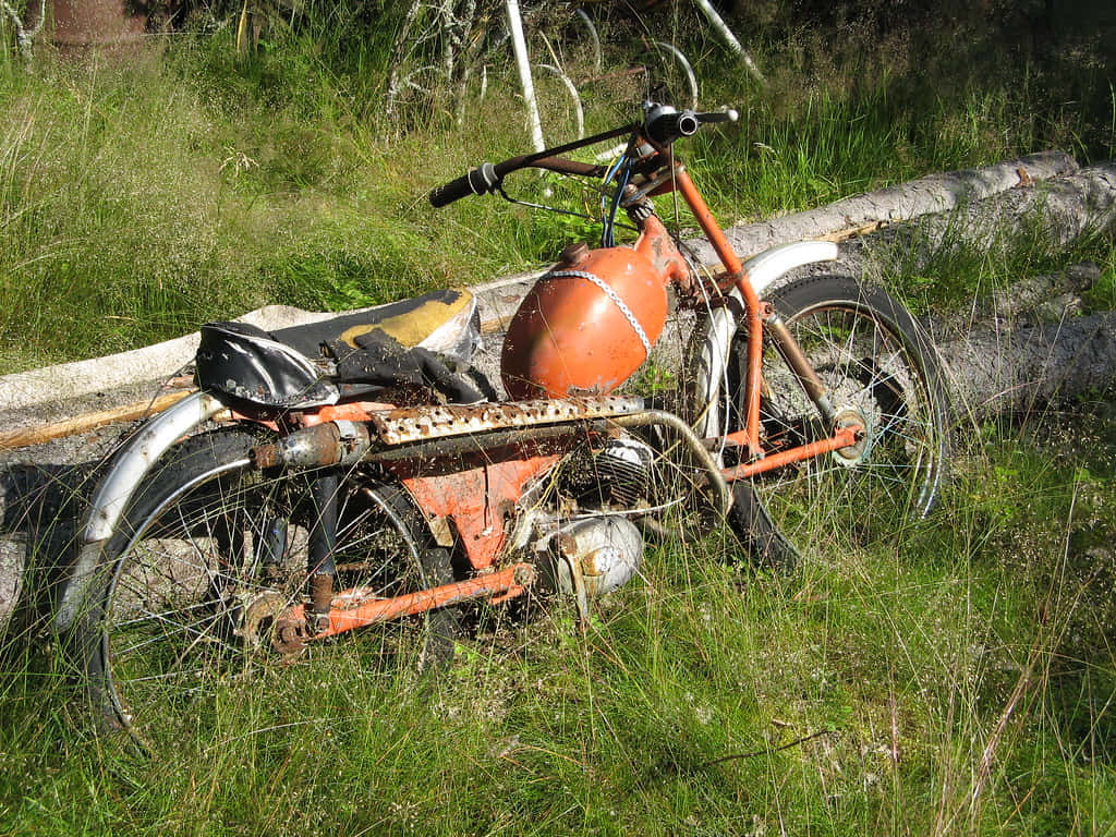 Abandoned Sachs Motorcyclein Nature Wallpaper