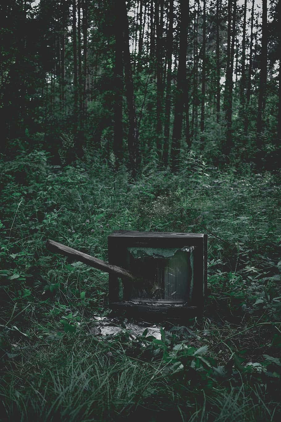 Abandoned T Vin Dark Forest Green Aesthetic.jpg Wallpaper