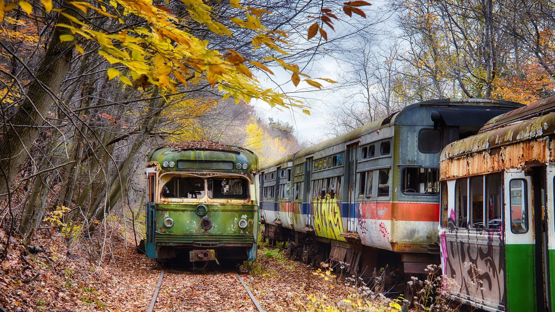 Wagons De Train Abandonnés En Automne Fond d'écran