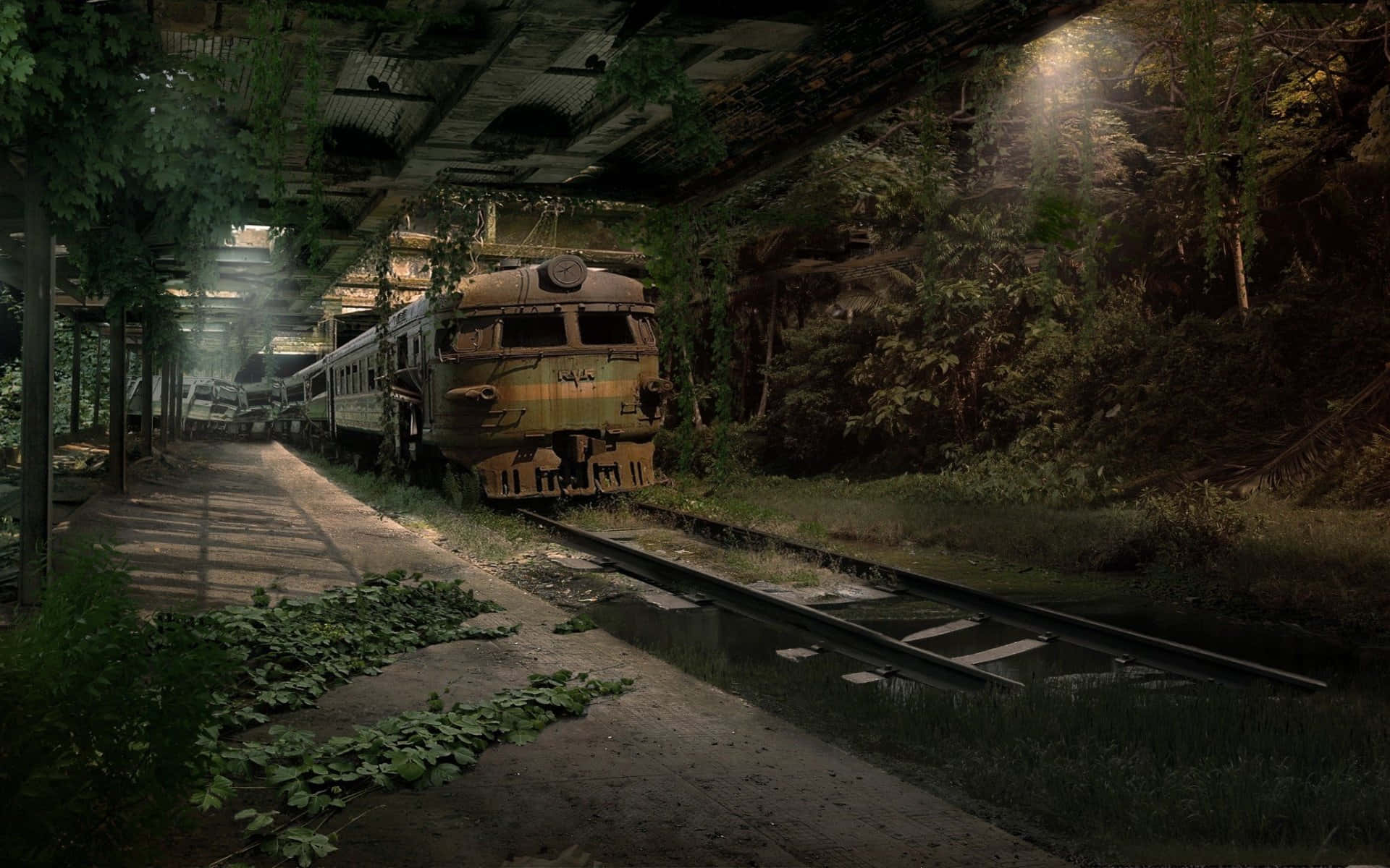 Gare De Train Abandonnée Envahie Par La Nature Fond d'écran