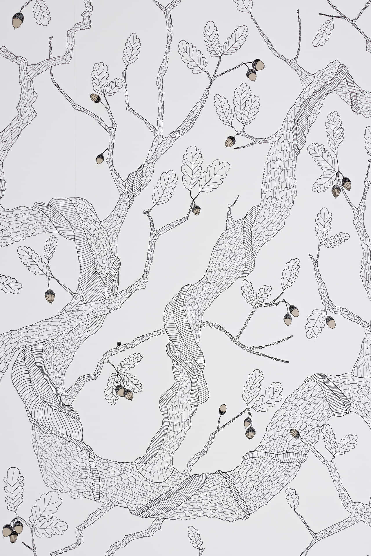 Abigail Edwards Oak Tree White Wallpaper