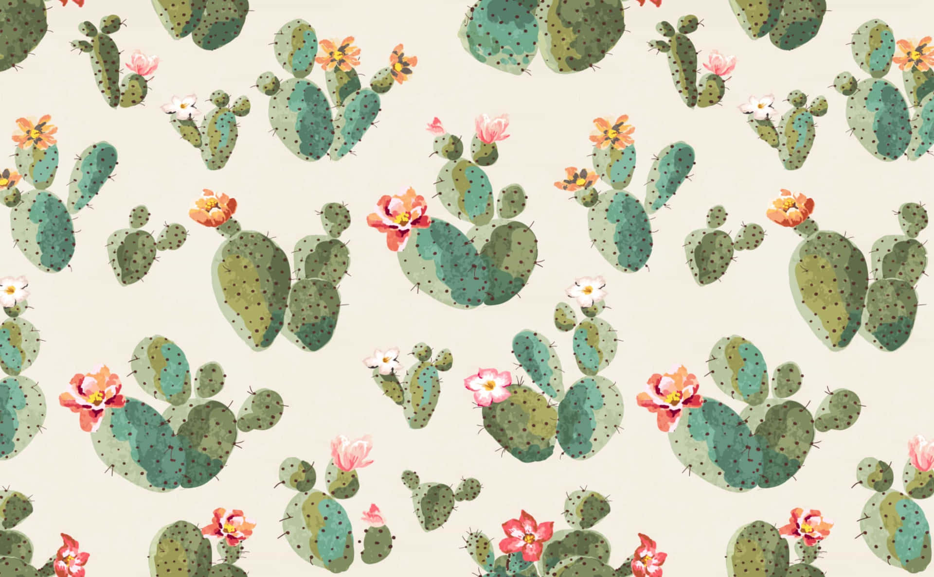 Able Cactus Wallpaper