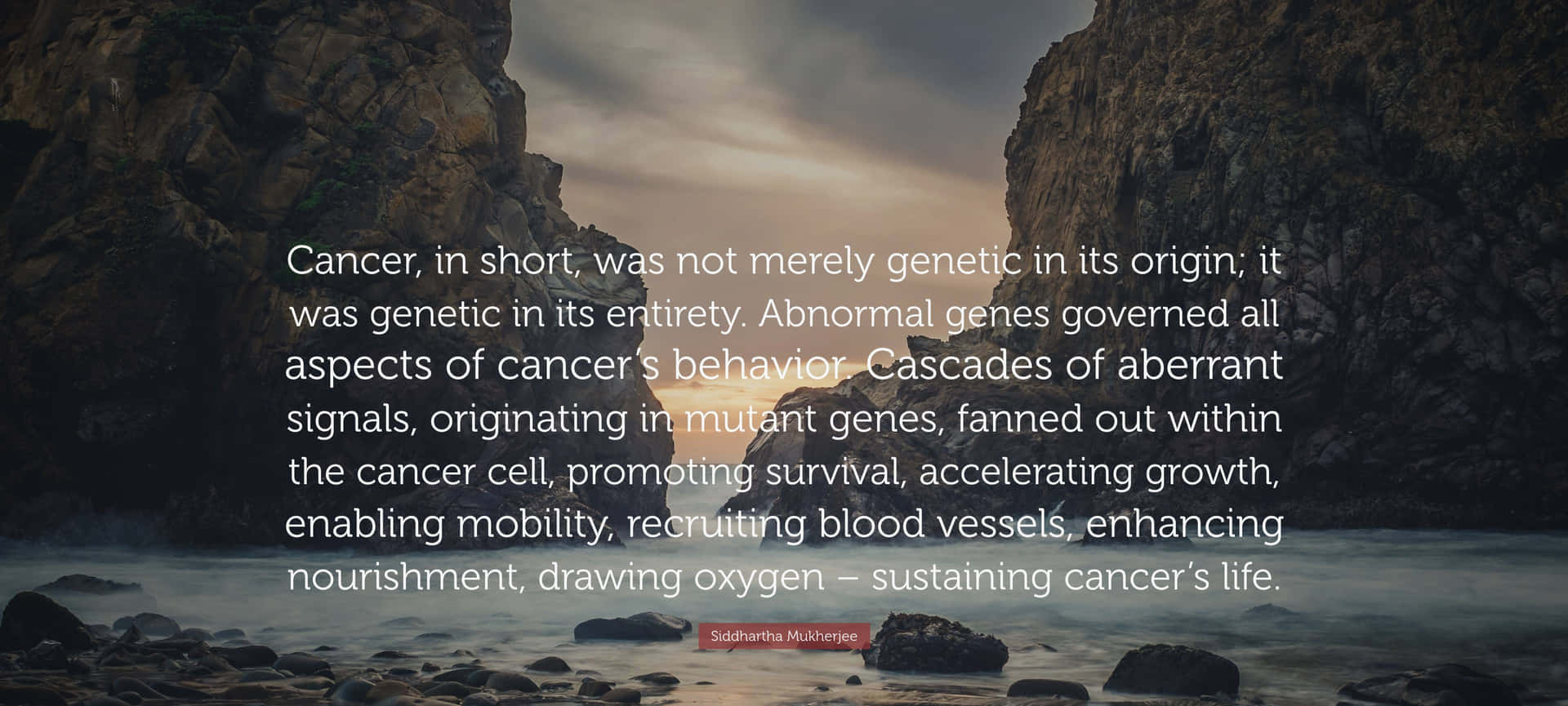 Abnormal Genes Cancer Quote Wallpaper