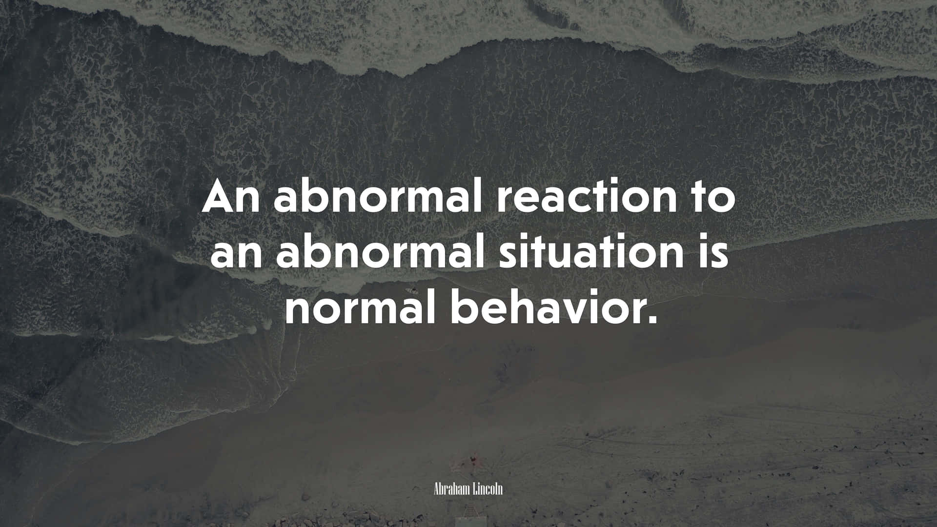 Abnormal Reaction To Situation Wallpaper