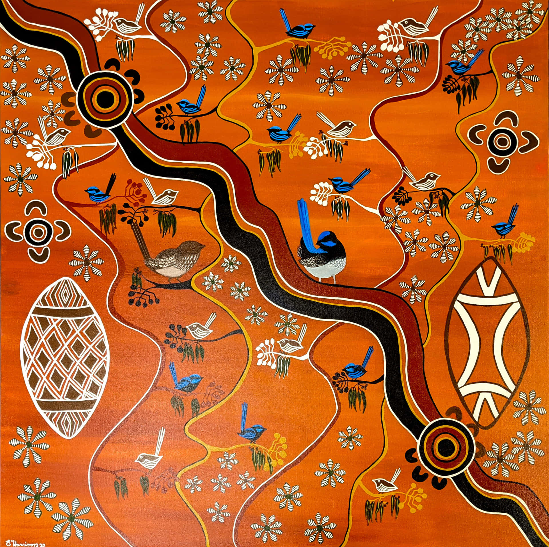 Dieschönheit Der Aboriginalen Kultur