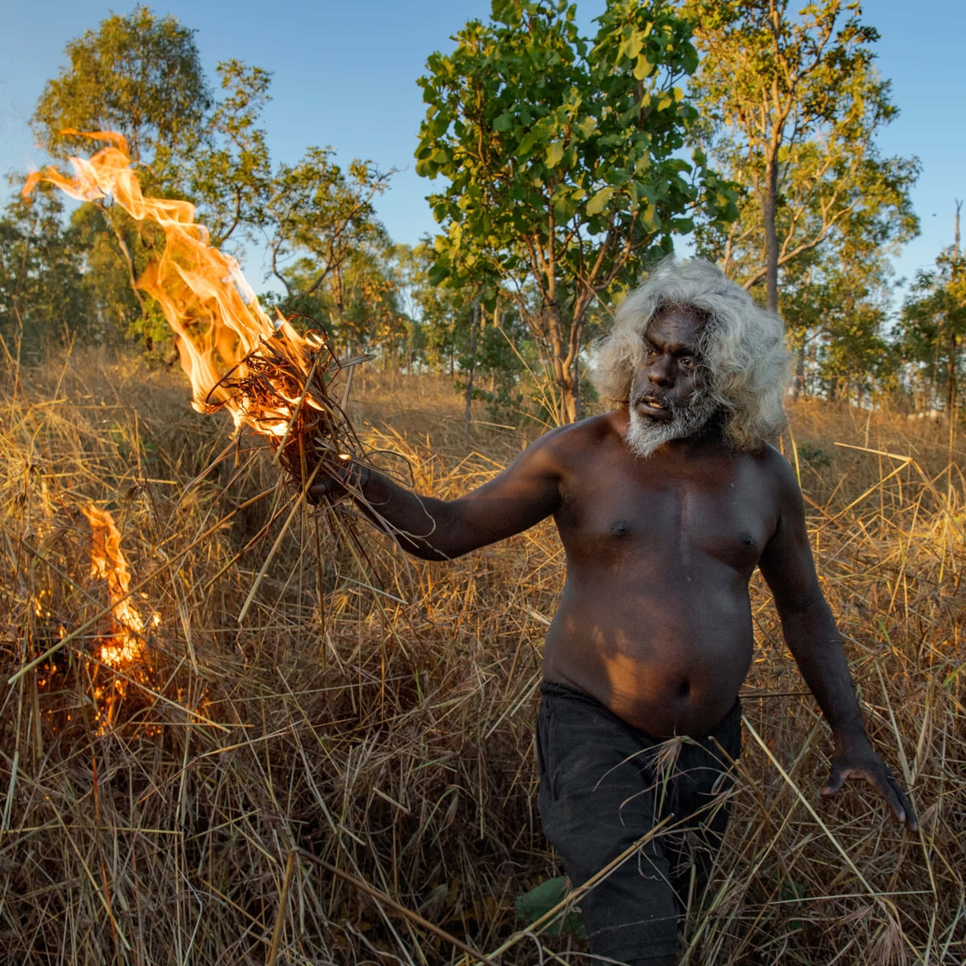Unaartista Aborigen Femenina, Pintando Una Imagen Fija De Su Guía Espiritual Tribal.
