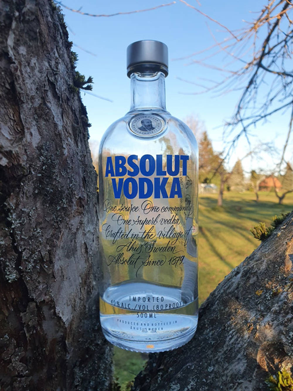 Absolut Vodka Bottle In Between Tree Wallpaper
