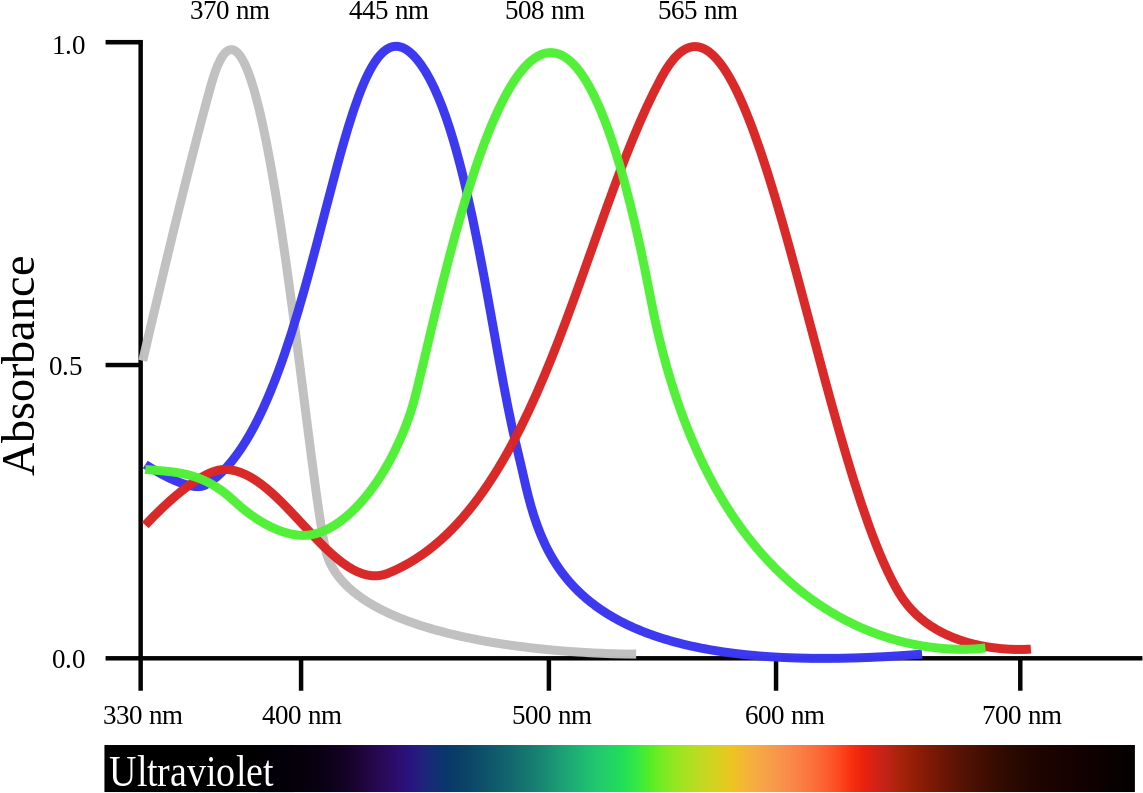 Absorption Spectrum Peak Wavelengths PNG