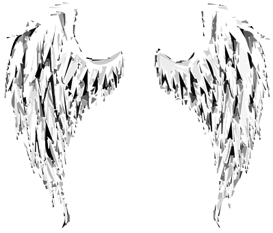 Abstract Angel Wings Art PNG