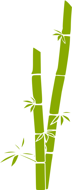Abstract Bamboo Illustration PNG