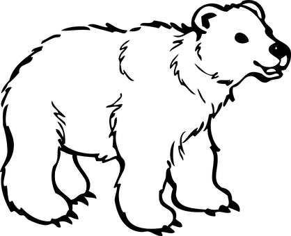 Abstract Bear Face Silhouette PNG