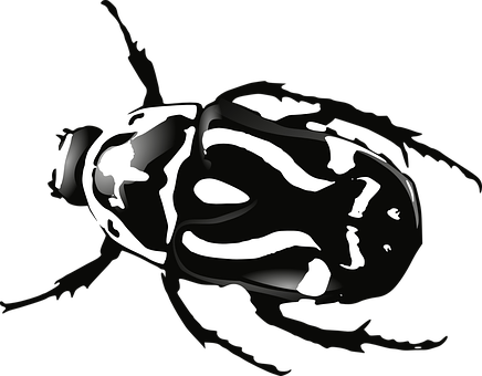 Abstract Beetle Artwork PNG