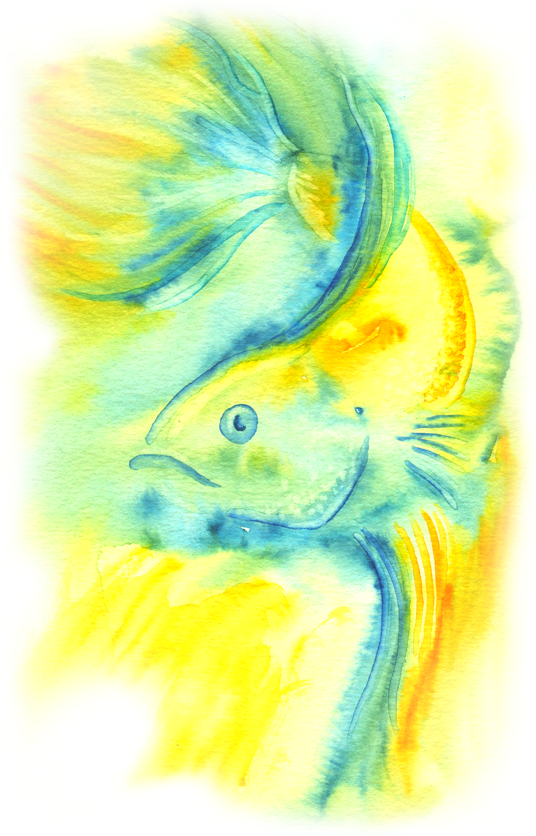 Abstract Betta Fish Watercolor PNG