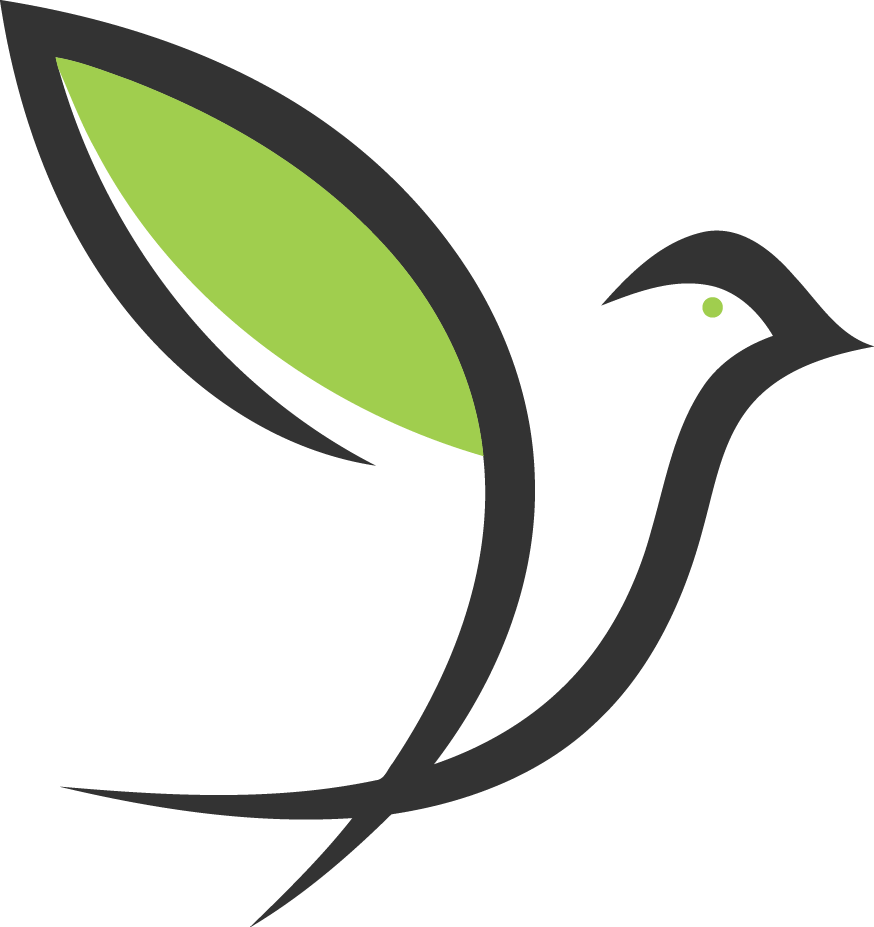 Abstract Bird Logo Design PNG