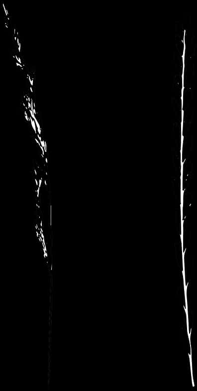 Abstract_ Black_and_ White_ Contrast PNG