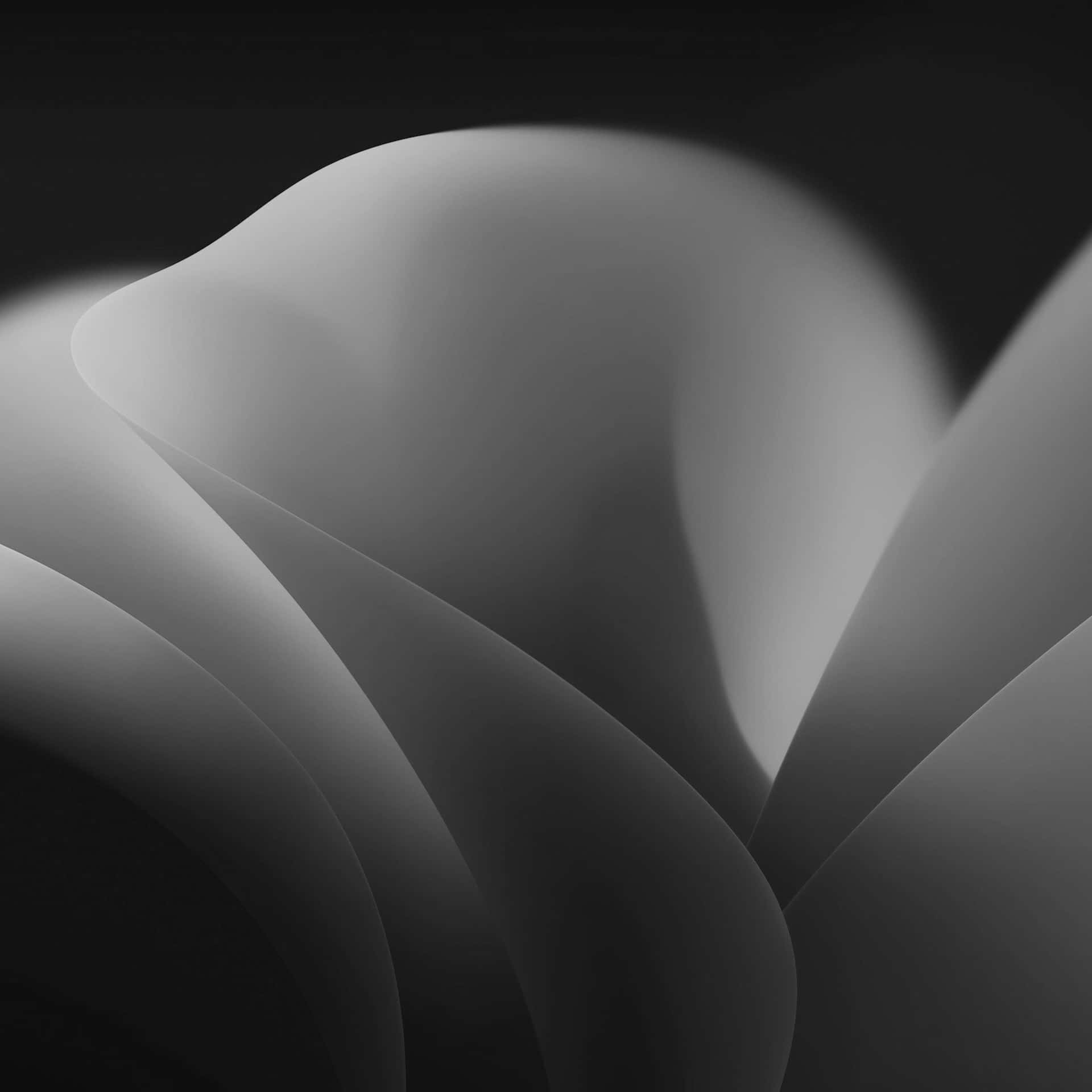 Abstract_ Black_and_ White_ Curves_ Background Wallpaper