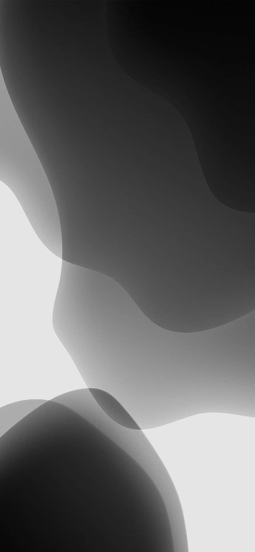 Abstract_ Black_and_ White_ Curves Wallpaper