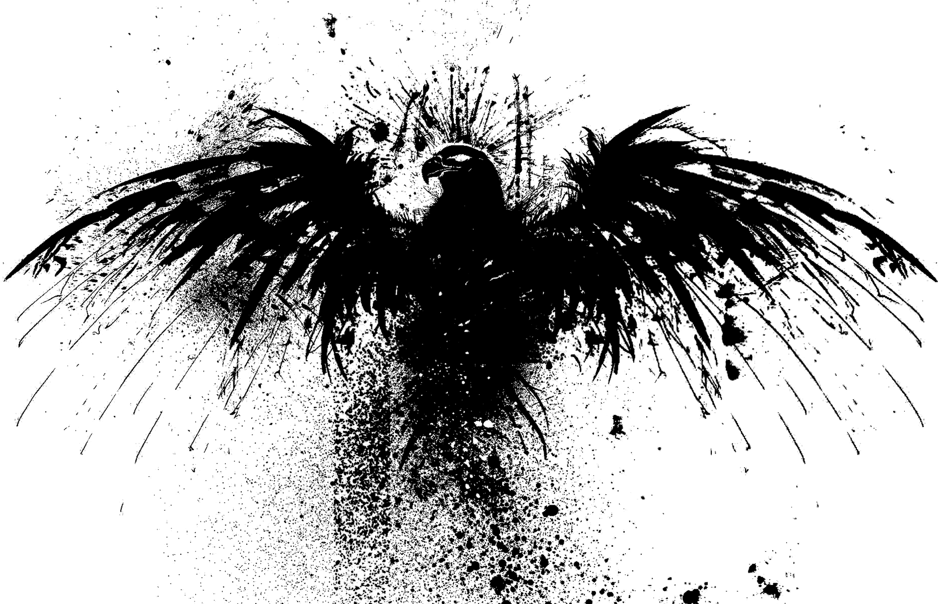Abstract Black Bird Silhouette PNG