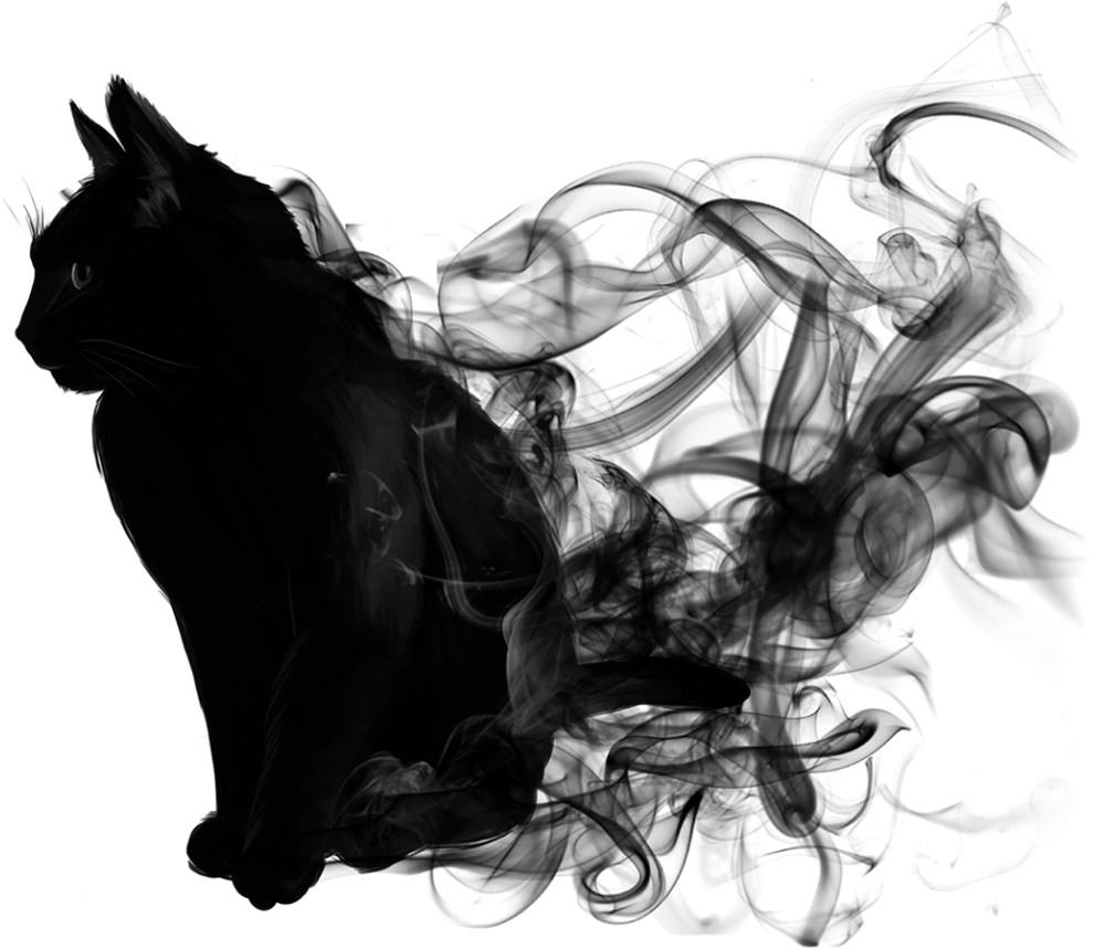Abstract Black Cat Artwork PNG