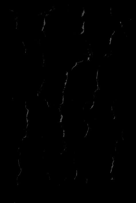 Abstract Black Cracks Texture PNG