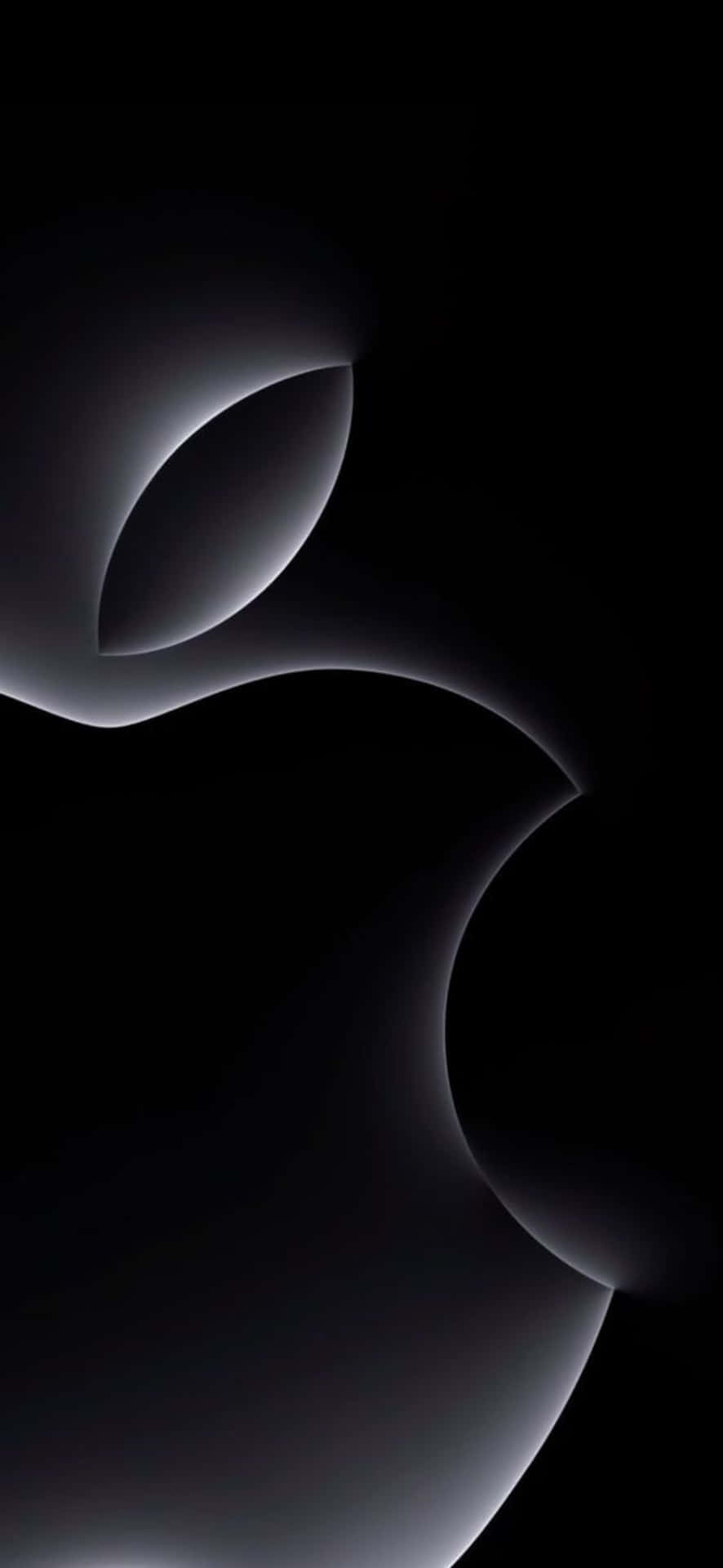 Abstract_ Black_ Curves_ Background Wallpaper