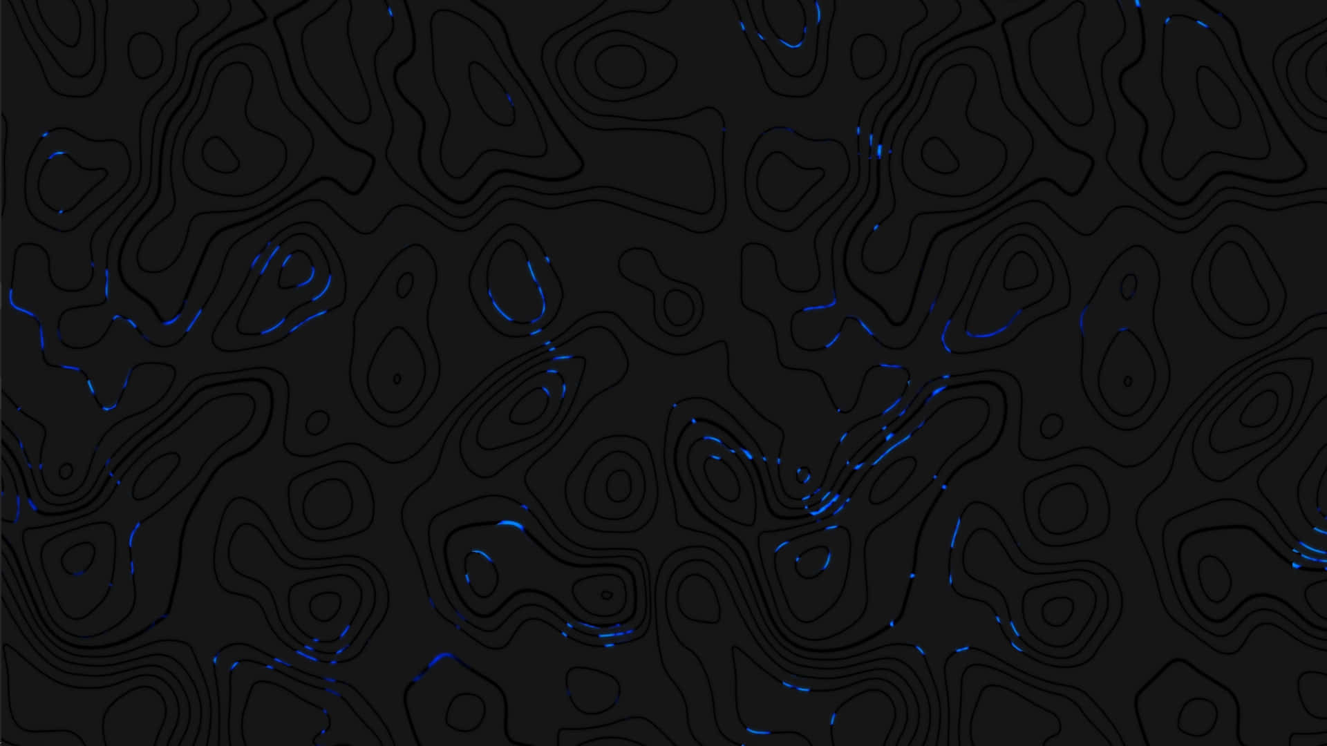 Abstract Black Topographic Mapwith Blue Accents Wallpaper