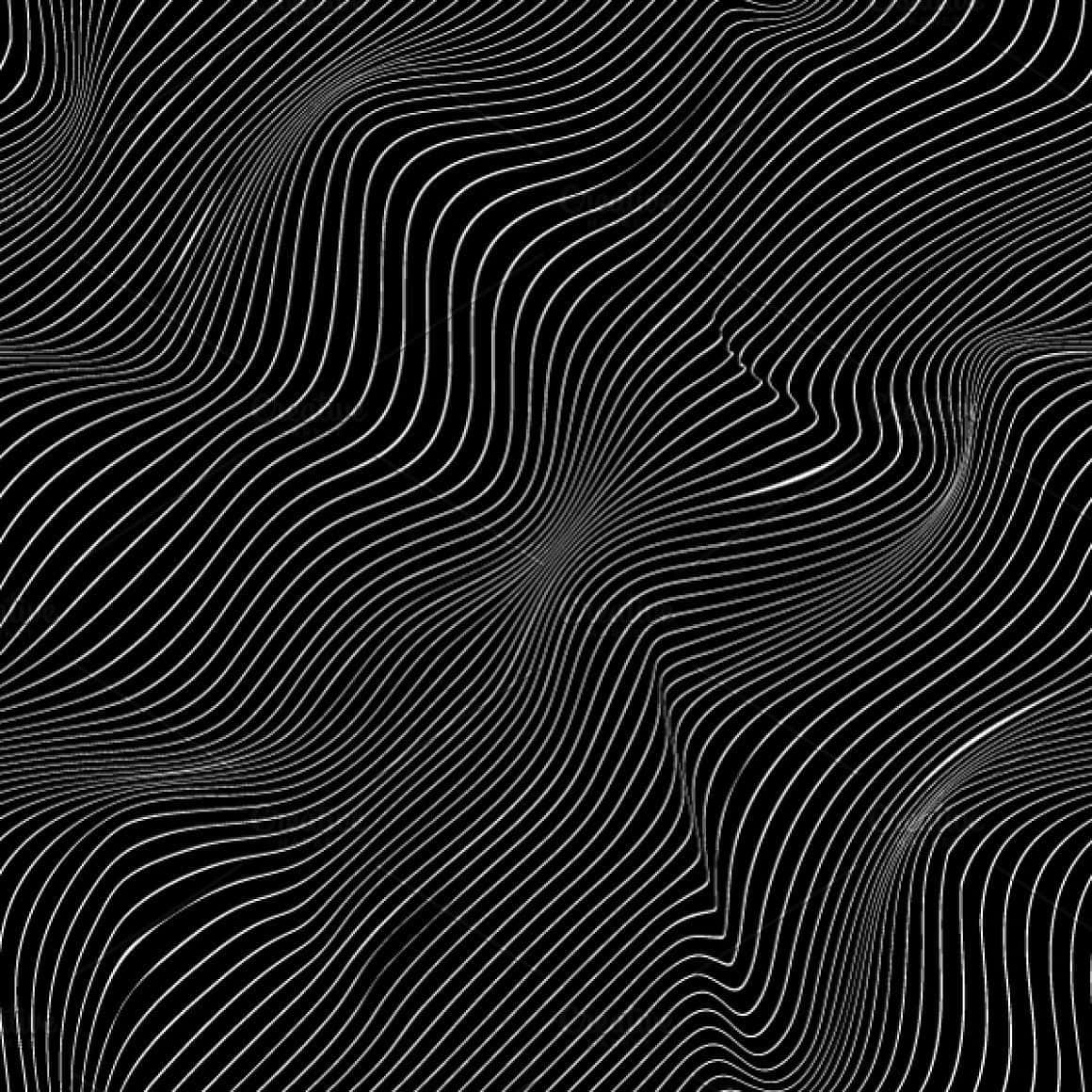 Abstract Black White Contour Lines Wallpaper