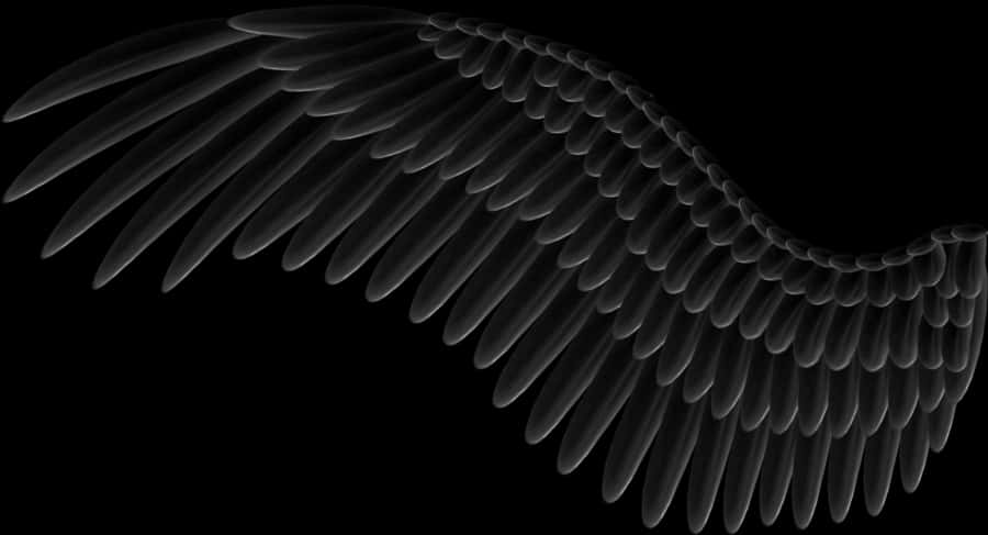 Abstract Black Wing Design PNG