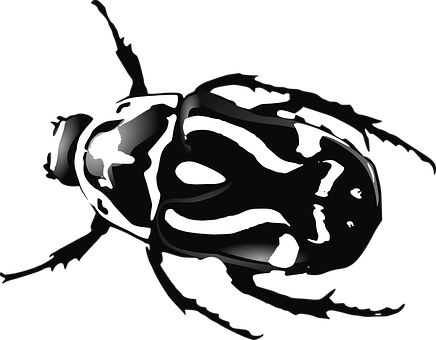 Abstract Blackand White Beetle Illustration PNG