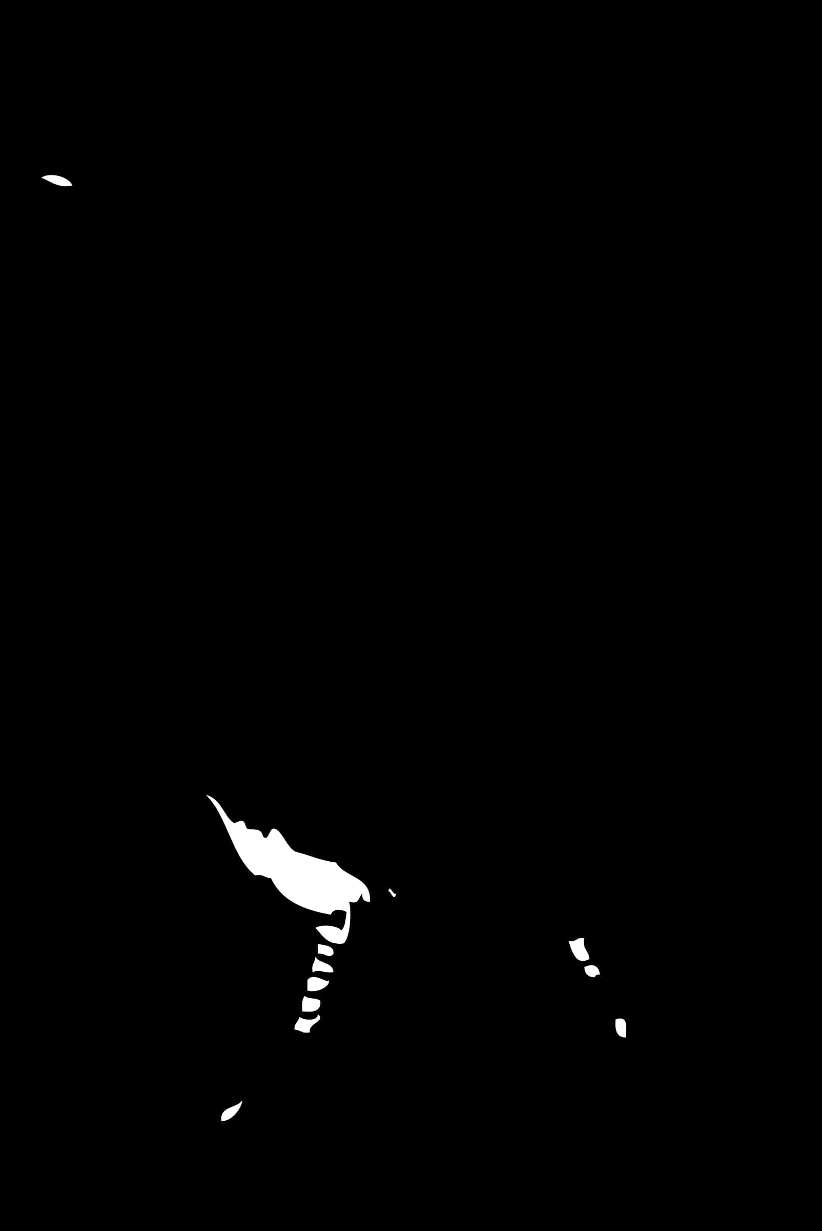 Abstract Blackand White Contrast PNG