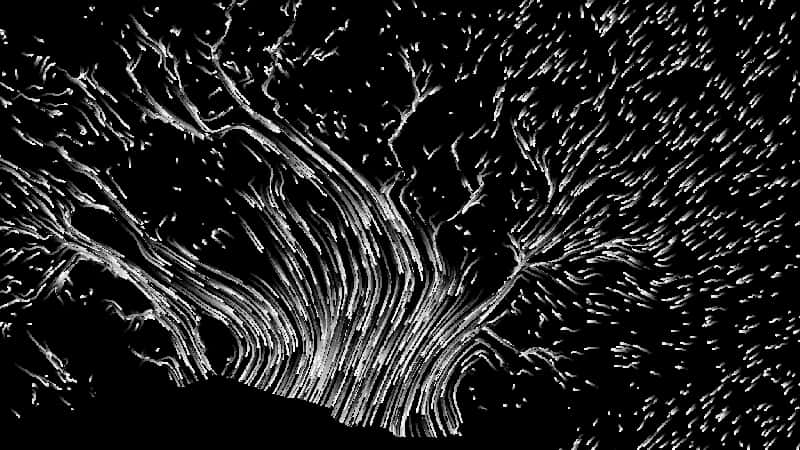 Abstract Blackand White Flowing Lines PNG