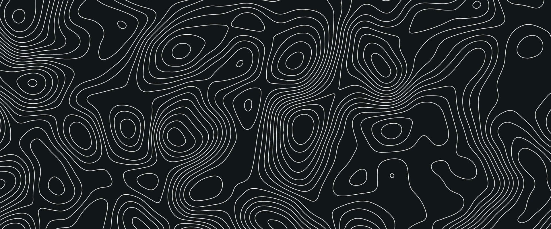 Abstract Blackand White Topographic Lines Wallpaper