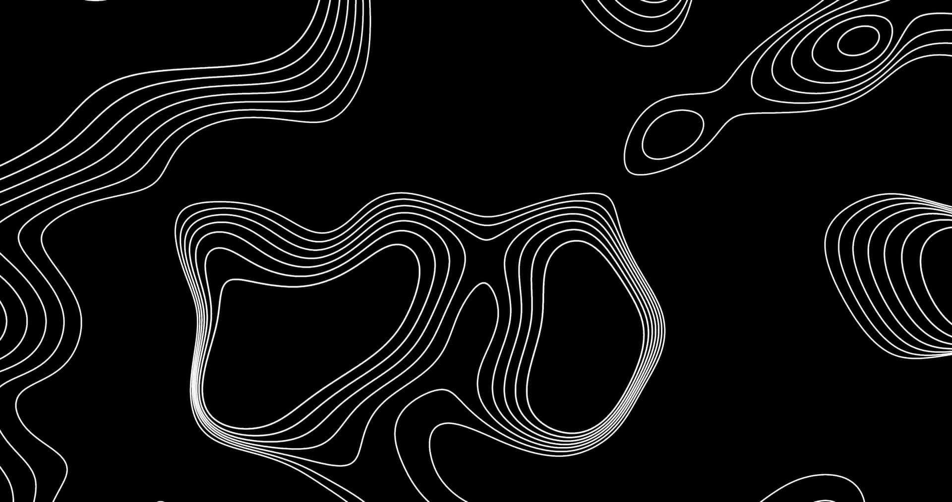 Abstract Blackand White Topographic Lines Wallpaper