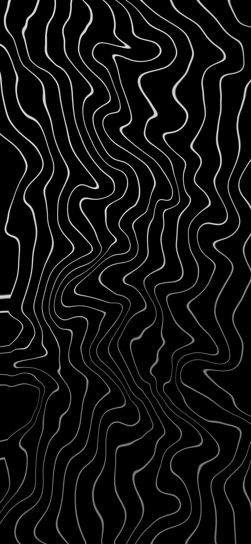 Abstract Blackand White Topography Wallpaper