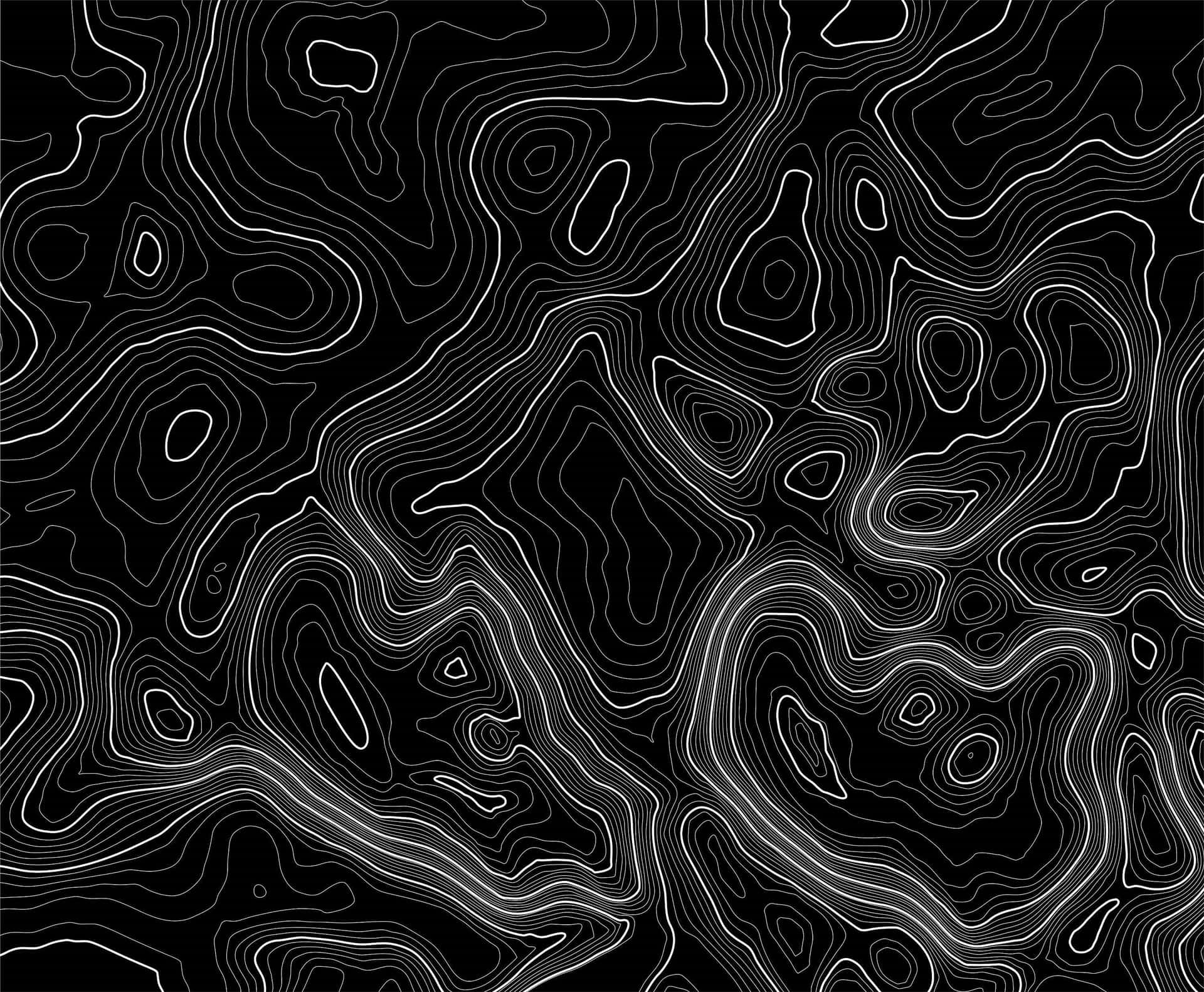 Abstract Blackand White Topography Wallpaper