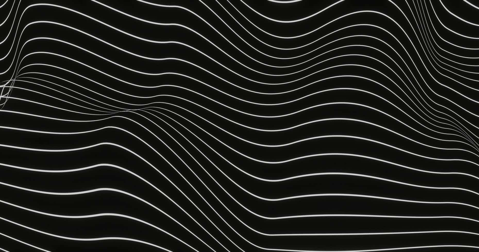Abstract Blackand White Wave Lines Wallpaper