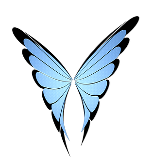 Abstract Blue Butterfly Vector Art PNG