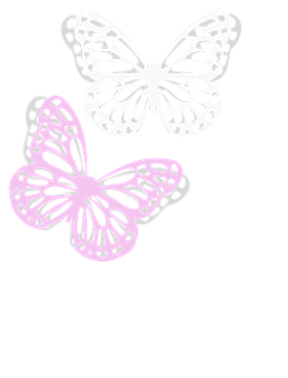 Abstract Butterflies Black Background PNG