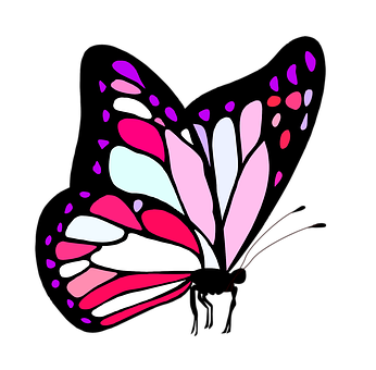 Abstract Butterfly Graphic PNG